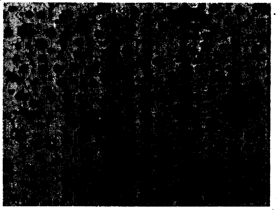 Method for preparing ductile iron exhaust manifold