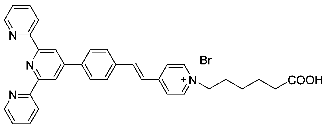 Fluorescent probe for identifying mercury ions and preparation and identification method thereof