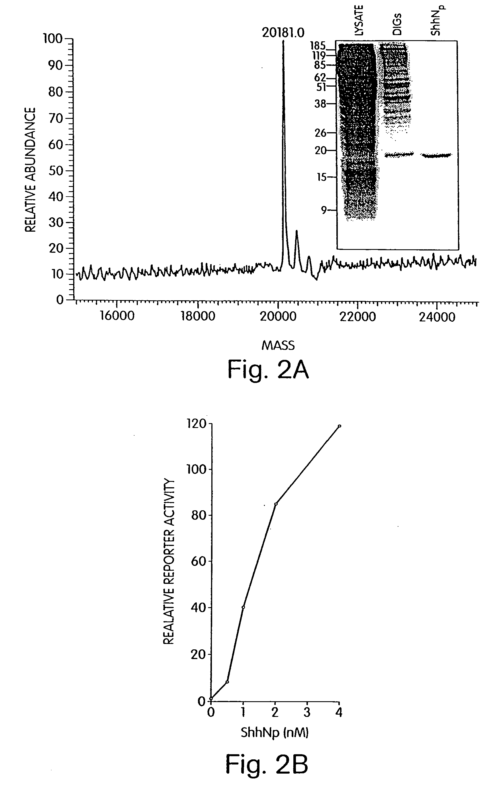 Regulators of the hedgehog pathway, compositions and uses related thereto