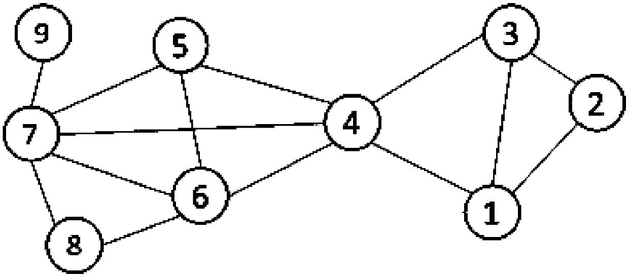 A Randomized Privacy Preserving Method for Graph Data Publishing