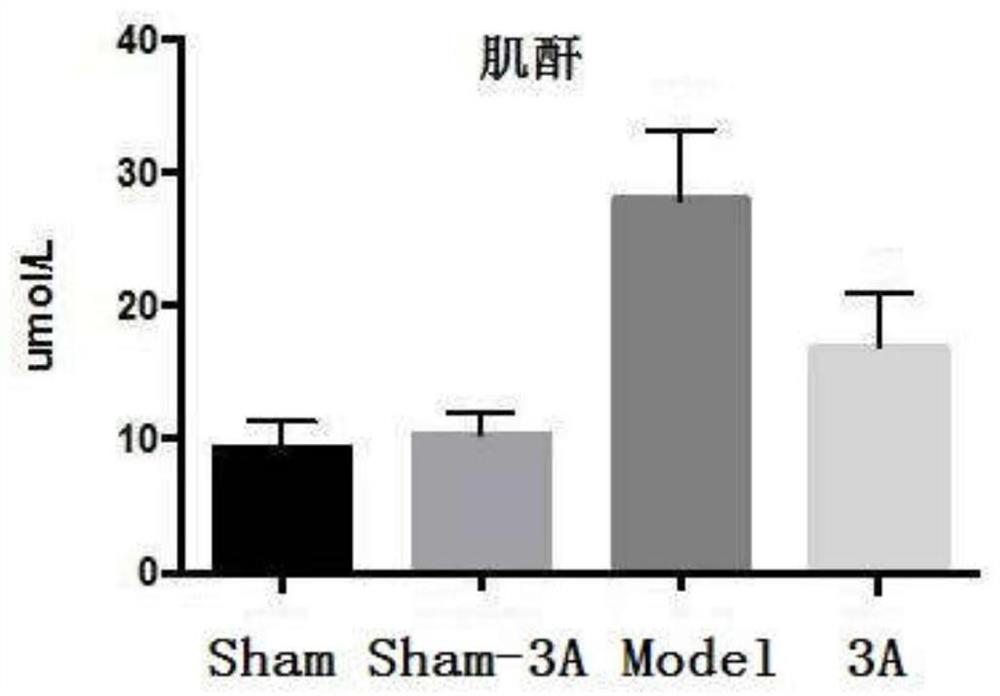 Application of 3-acetylaminocoumarin in the preparation of medicines for treating or preventing hyperuricemia and kidney damage