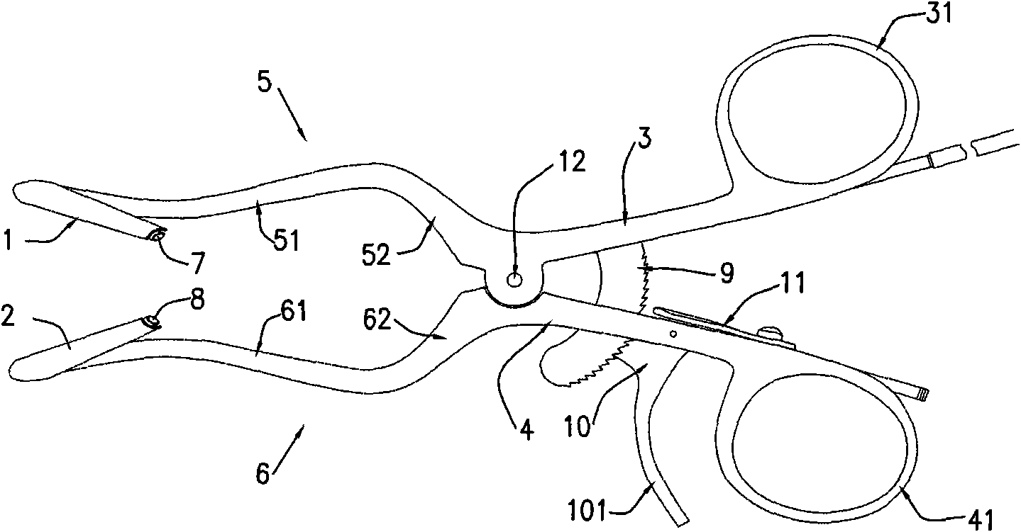 Nasal cavity, nasal septum double-site spreader