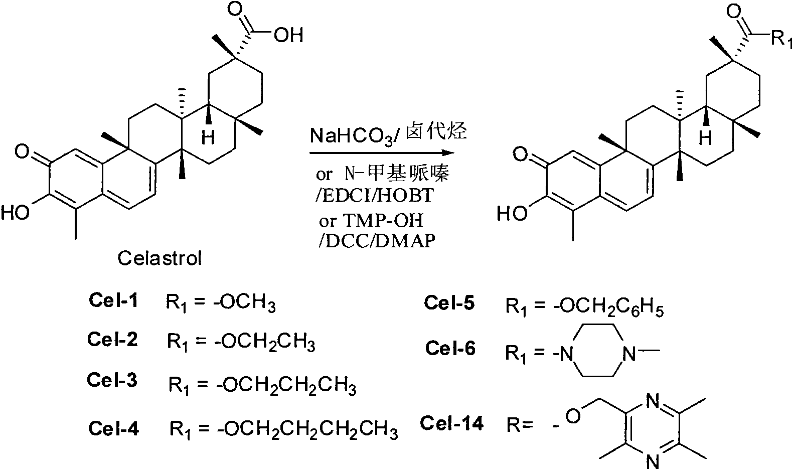 Tripterine derivate and use thereof