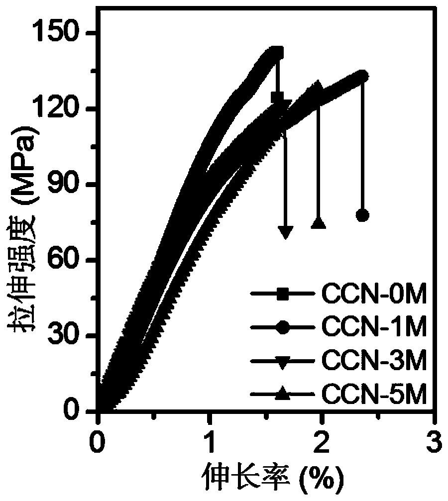 Biomass nanofiber diaphragm as well as preparation method and application thereof