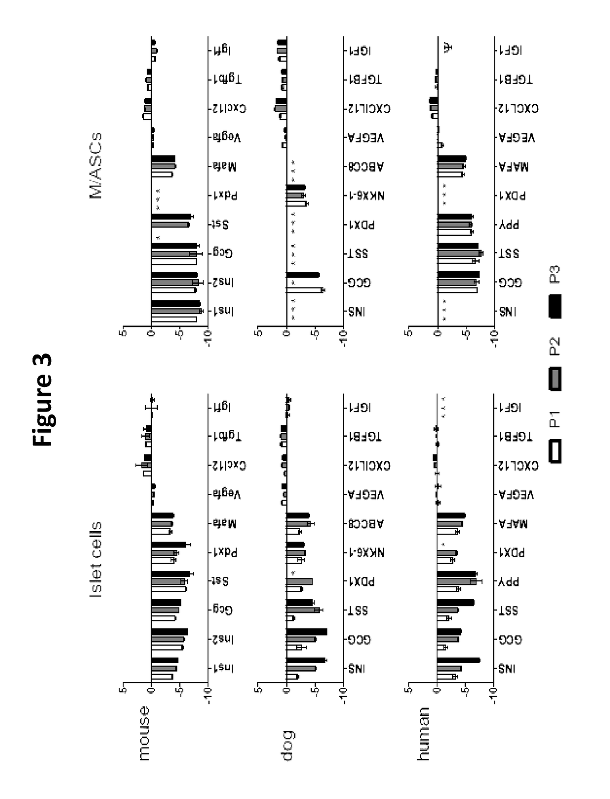 Neo-islets comprising stem and islet cells and treatment of diabetes mellitus therewith