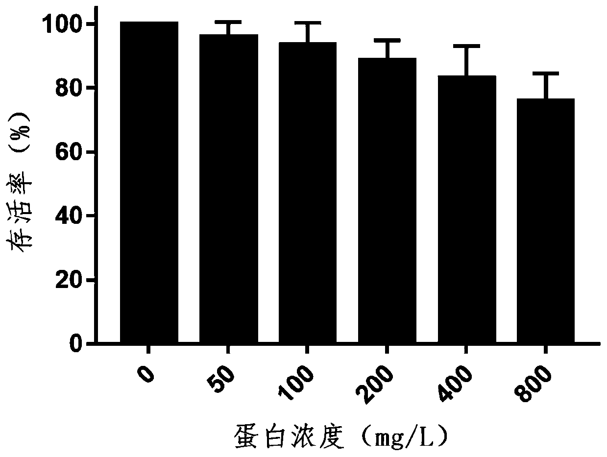 Tissue repair protein CHRD, and coding gene and applications thereof