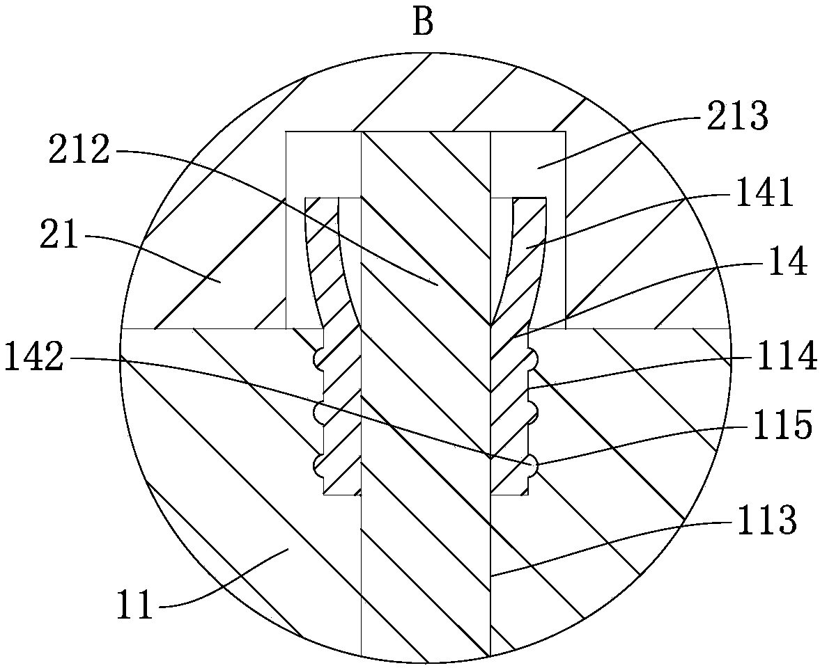 Socket and plug cooperated structure