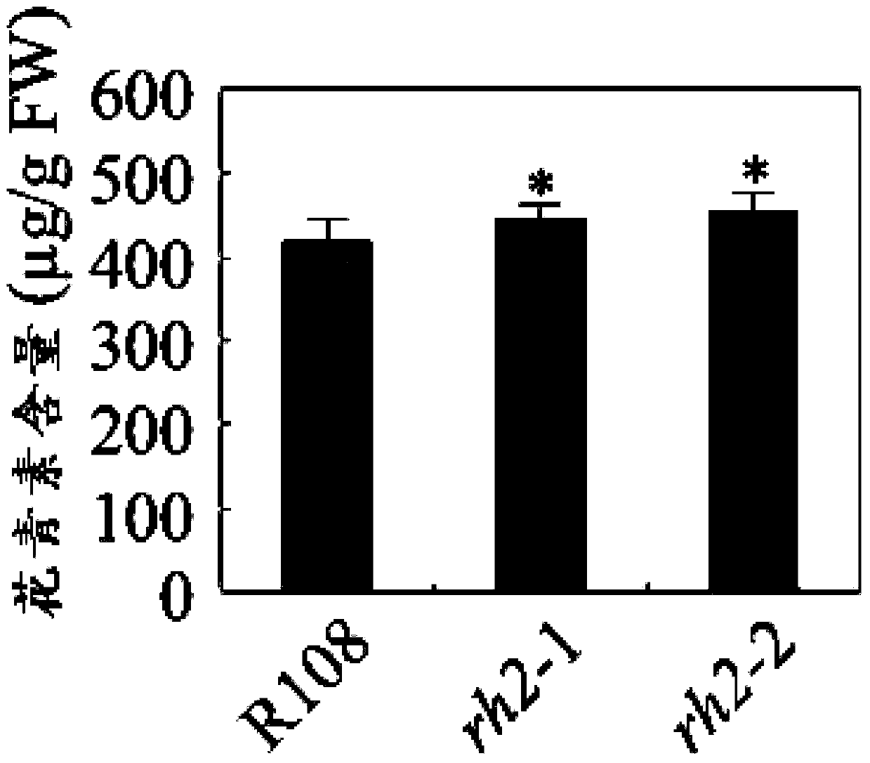 RH2 protein as well as coding gene and application thereof