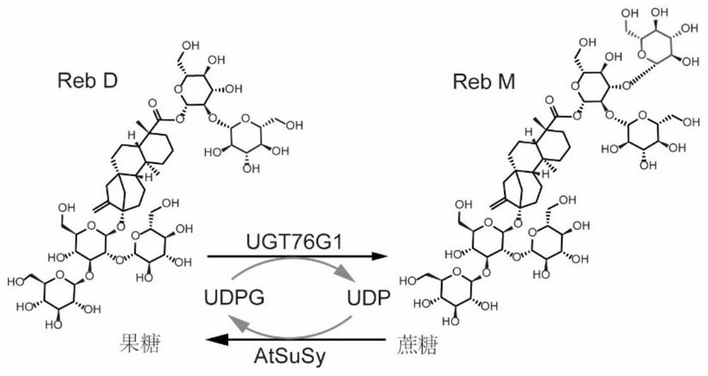 Method for efficiently biosynthesizing rebaudioside M by using glycosyltransferase UGT76G1 mutant