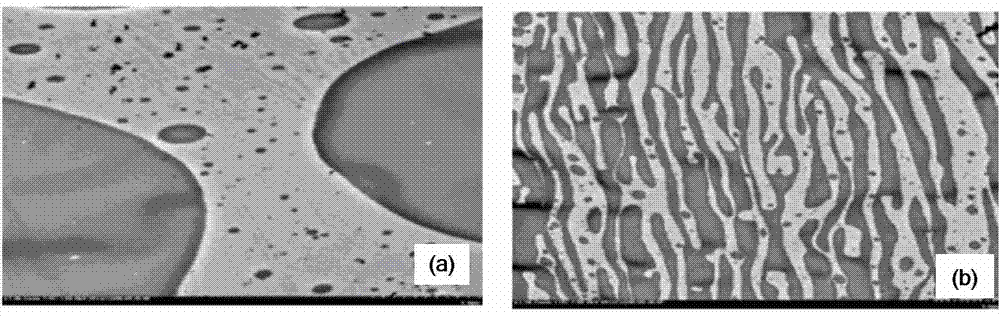 A polylactic acid alloy material with high plant density and high performance