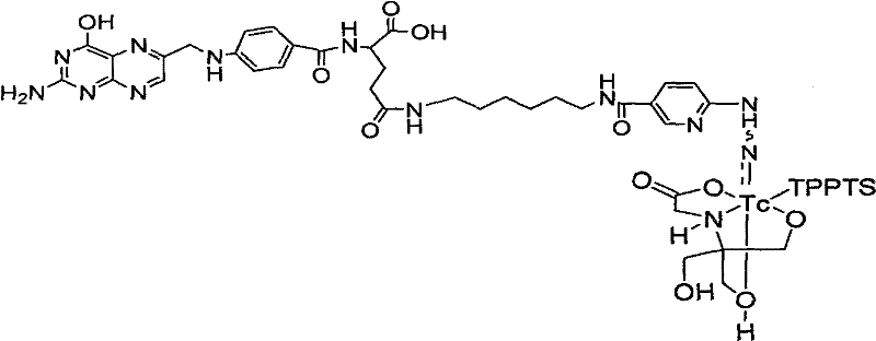 Preparation method and application of 99mTc-marked hydrazino nicotinamide-folate complexs