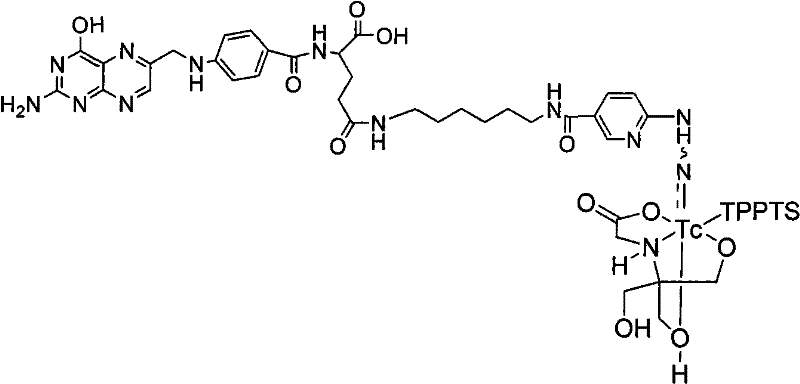 Preparation method and application of 99mTc-marked hydrazino nicotinamide-folate complexs