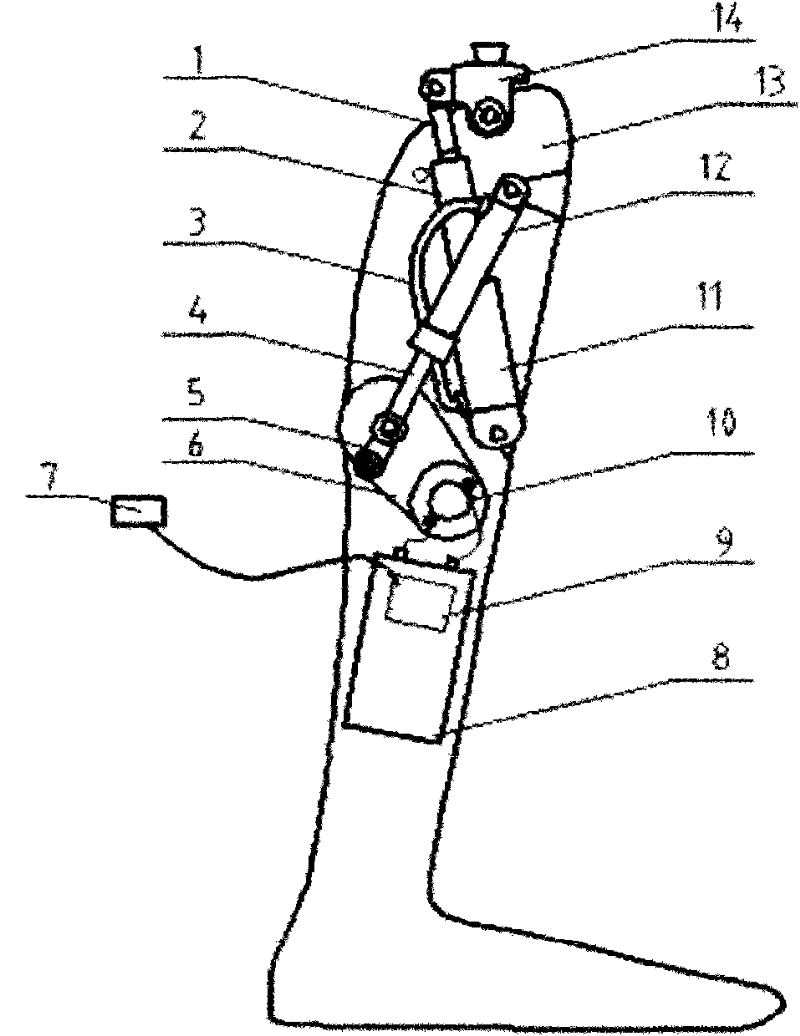 Myoelectric Knee