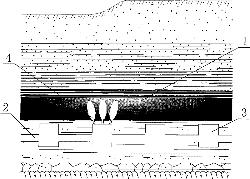 Regional gas underground high-pressure jet hole digging, pressure relief and outburst prevention method