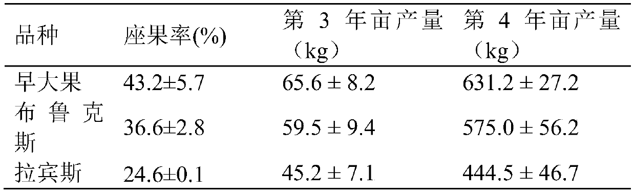 A kind of southern sweet cherry improved ufo shape dwarf dense planting cultivation method