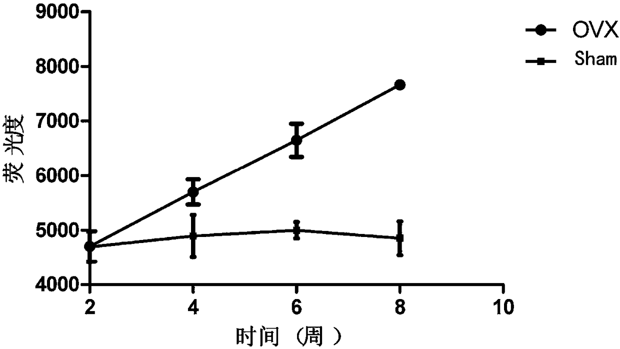 A kit for early prediction of osteoporosis