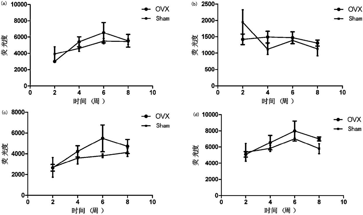 A kit for early prediction of osteoporosis