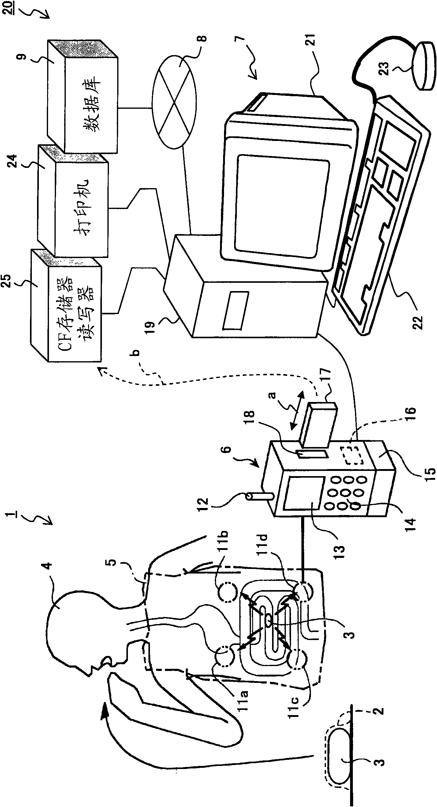 Image information display processing device and display processing method