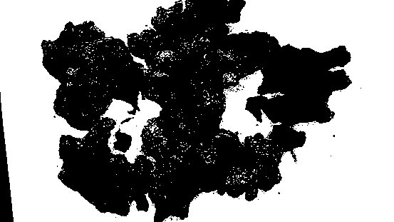 Processing method for charred rhizoma zingiberis recens