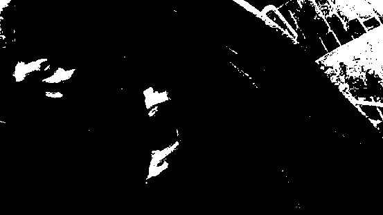 Processing method for charred rhizoma zingiberis recens