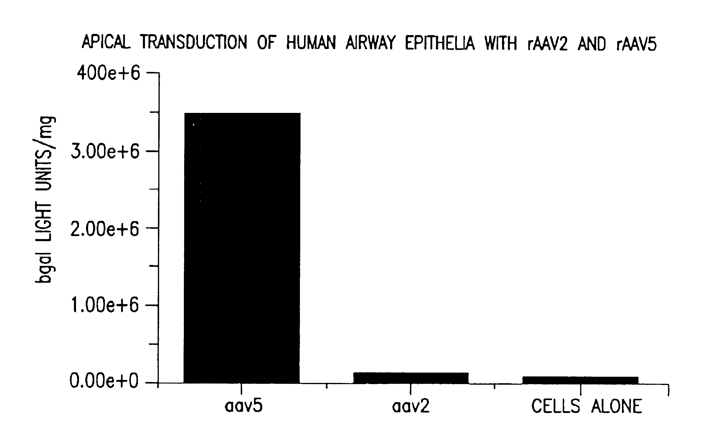 AAV5 vector for transducing brain cells and lung cells