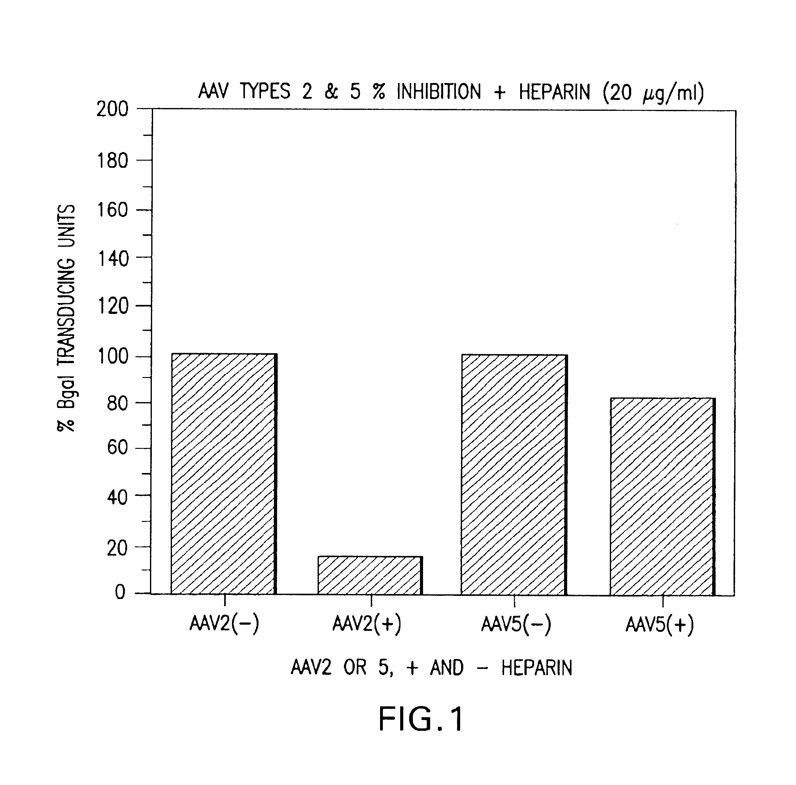 AAV5 vector for transducing brain cells and lung cells