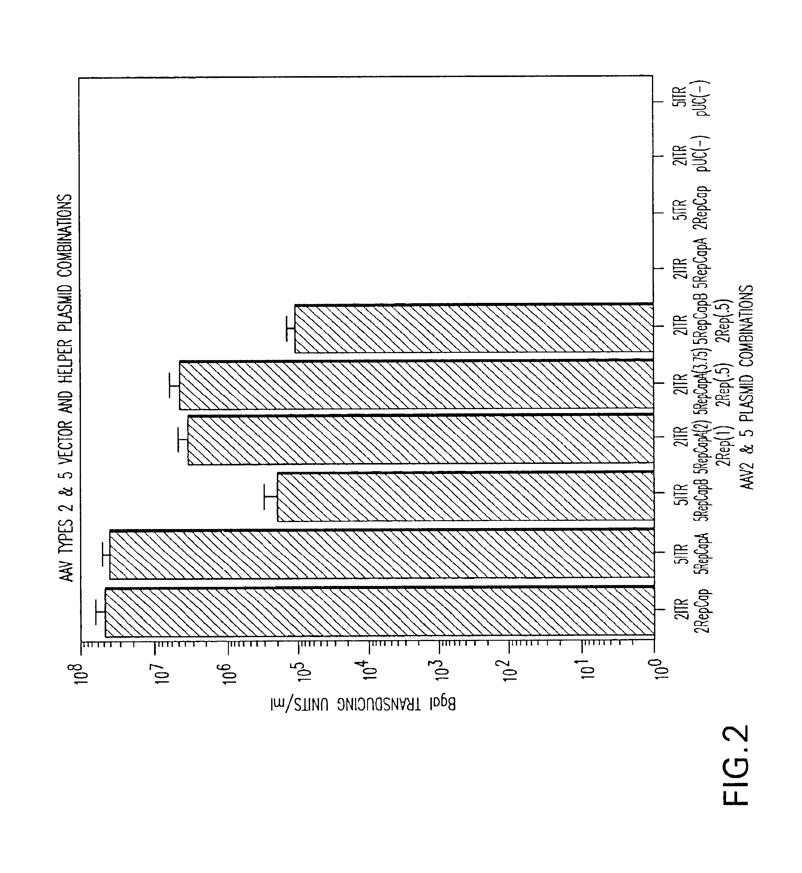 AAV5 vector for transducing brain cells and lung cells