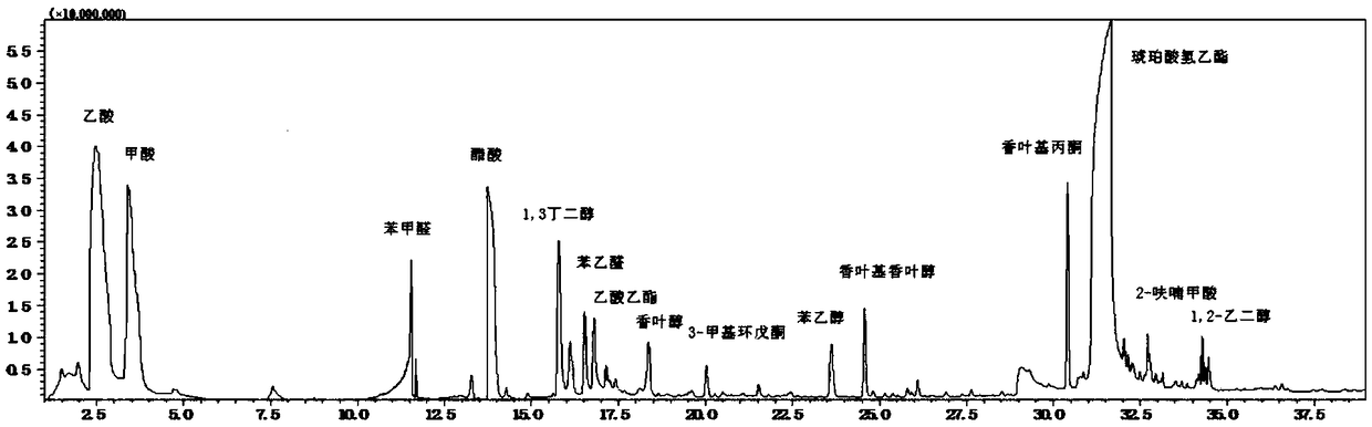 Germinated black rice vinegar beverage and preparation method thereof