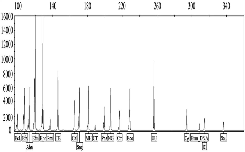 Detection system for urinary system infection pathogens and kit and application thereof