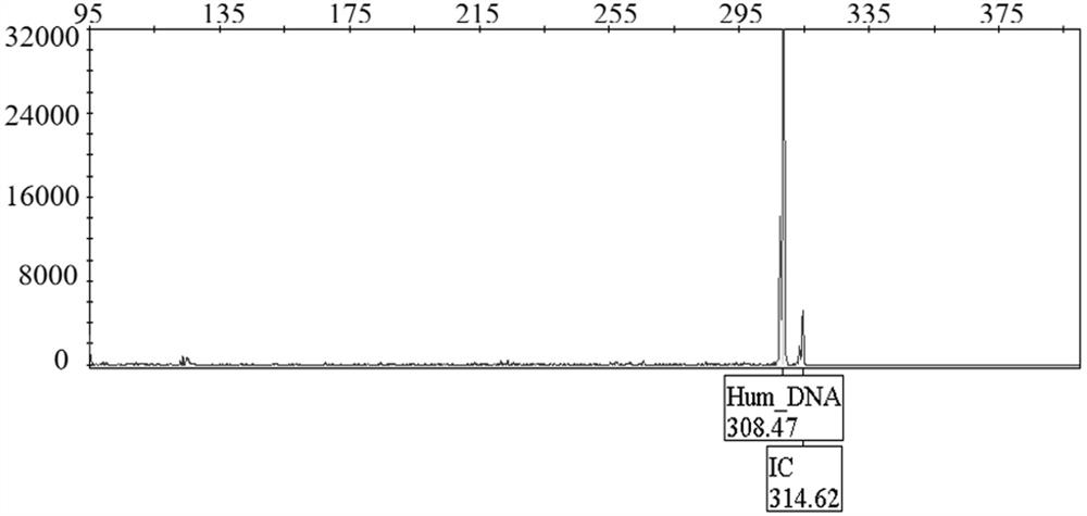 Detection system for urinary system infection pathogens and kit and application thereof