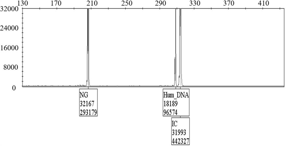 Detection system for urinary system infection pathogens and kit and application thereof