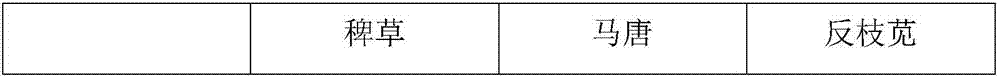 Method for preparing herbicide by using starch wastewater