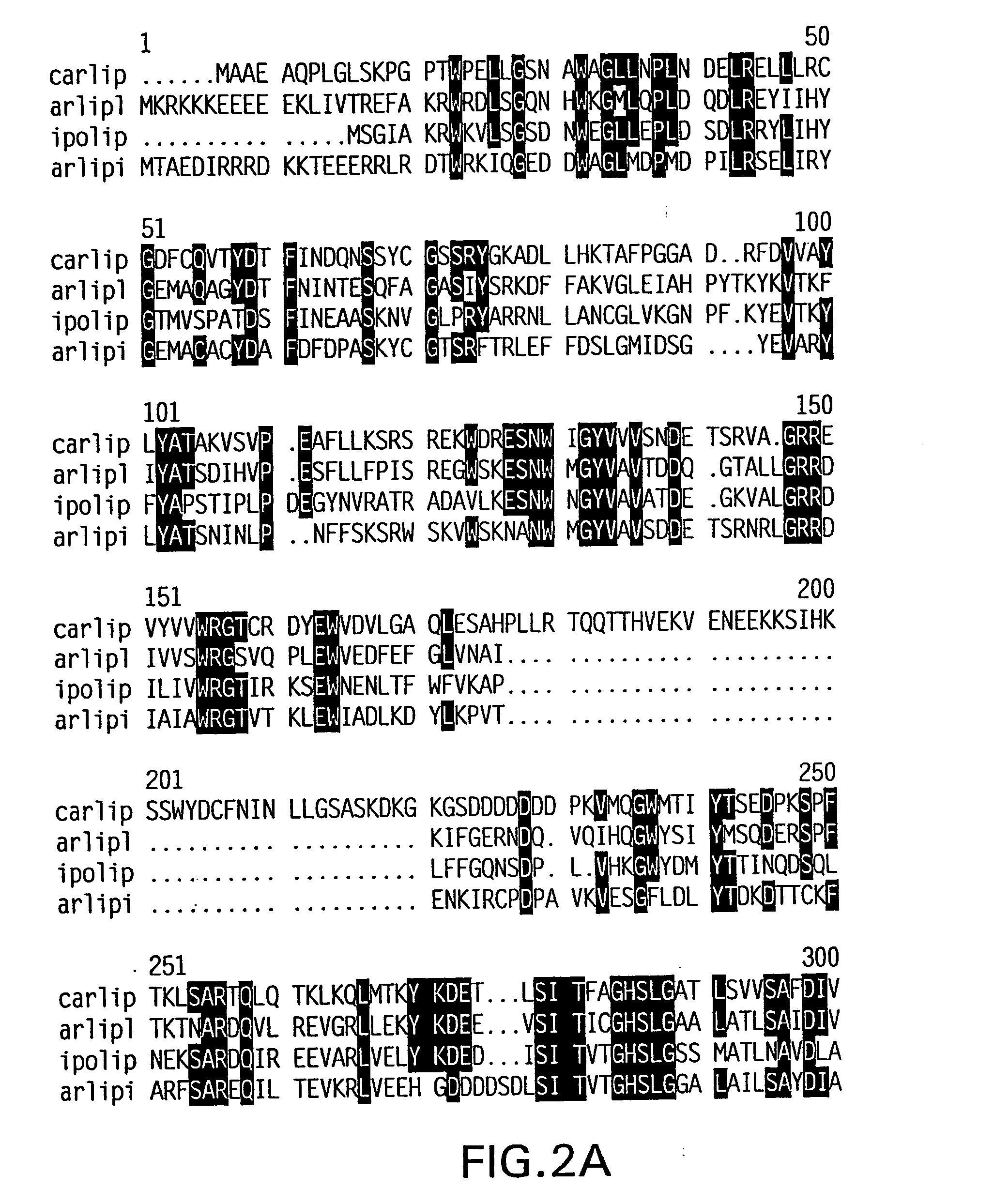 DNA encoding a plant lipase, transgenic plants and a method for controlling senescence in plants