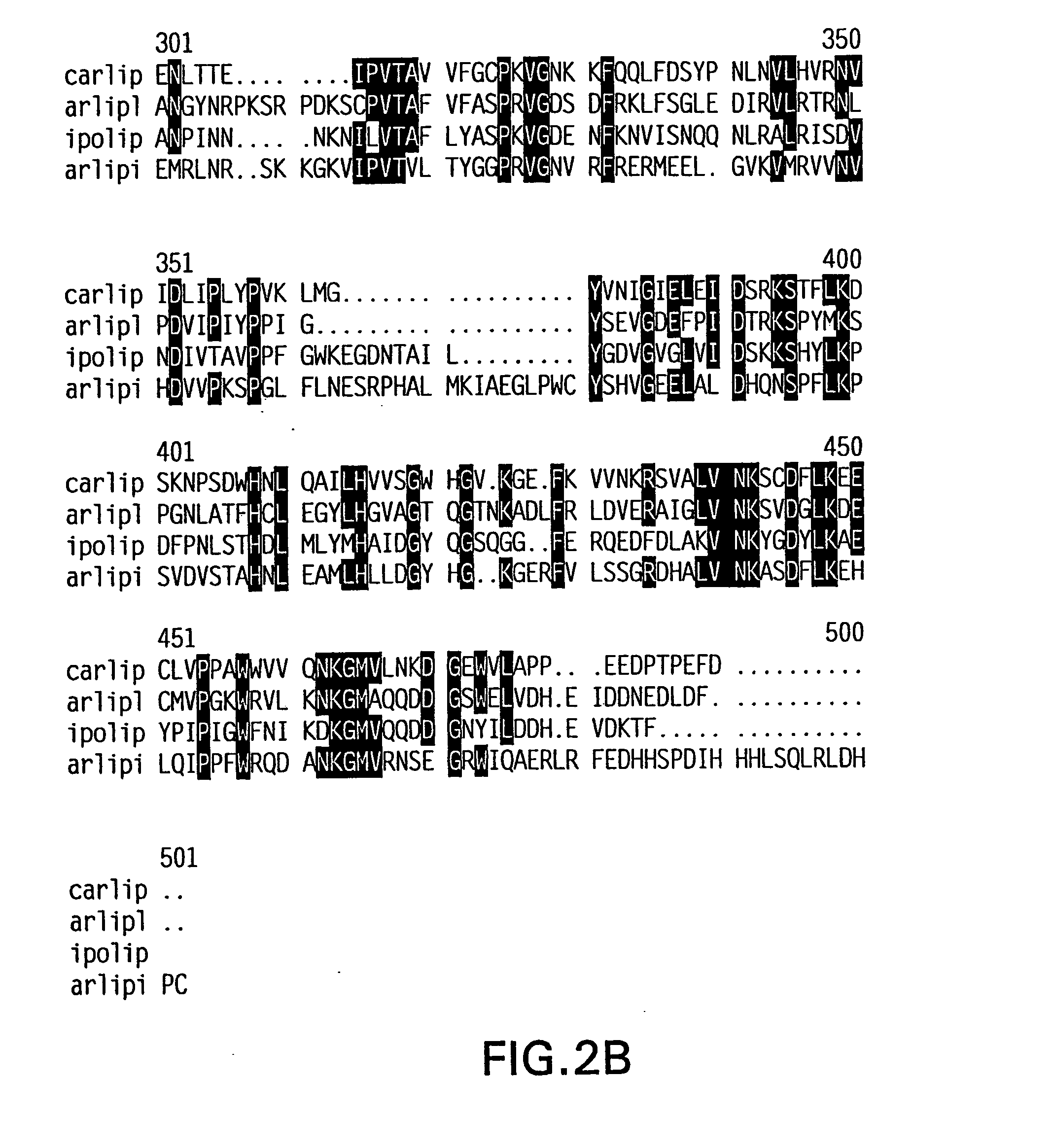 DNA encoding a plant lipase, transgenic plants and a method for controlling senescence in plants