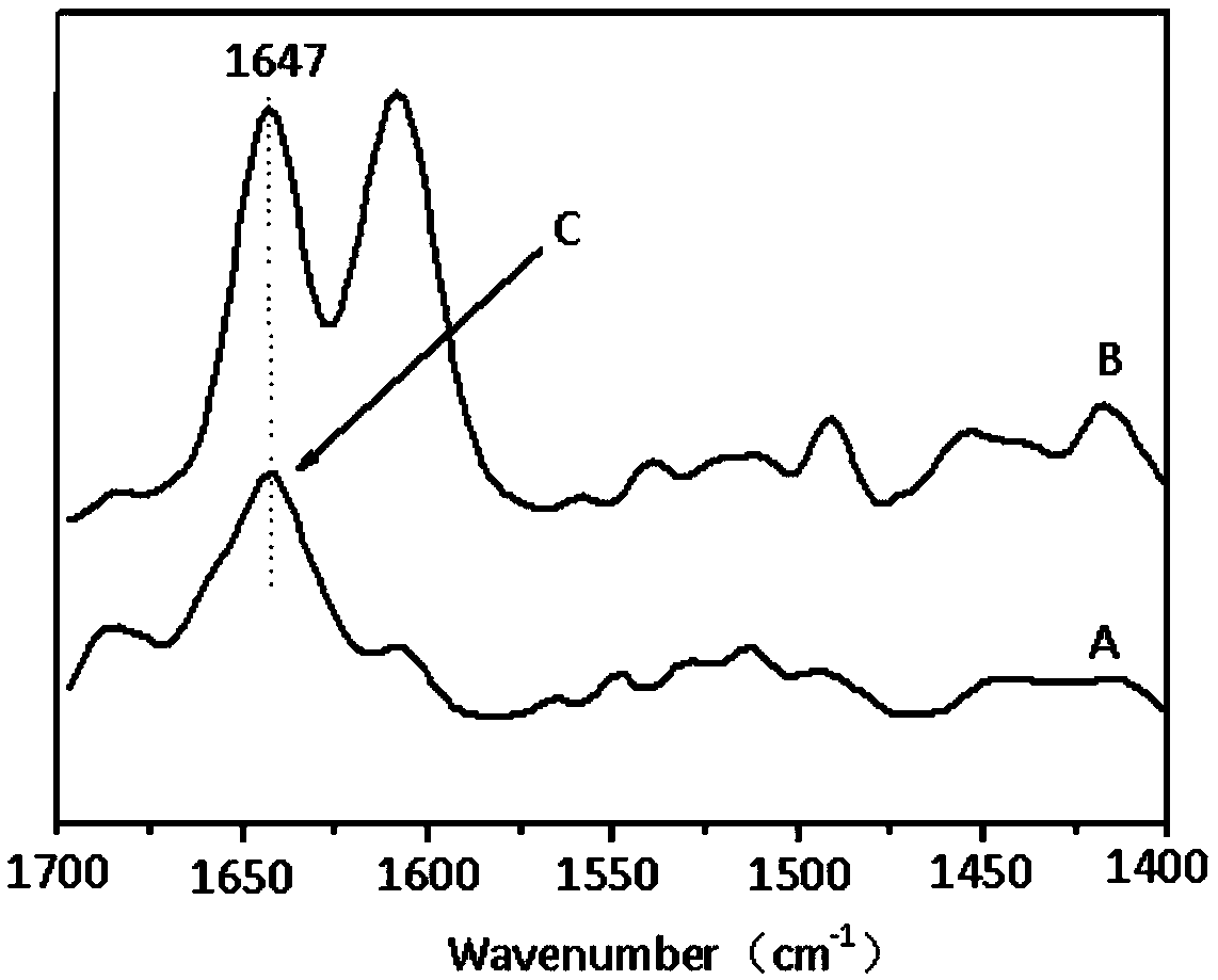 Preparation method of melem modified micro-porous molecular sieve shape-selective catalyst