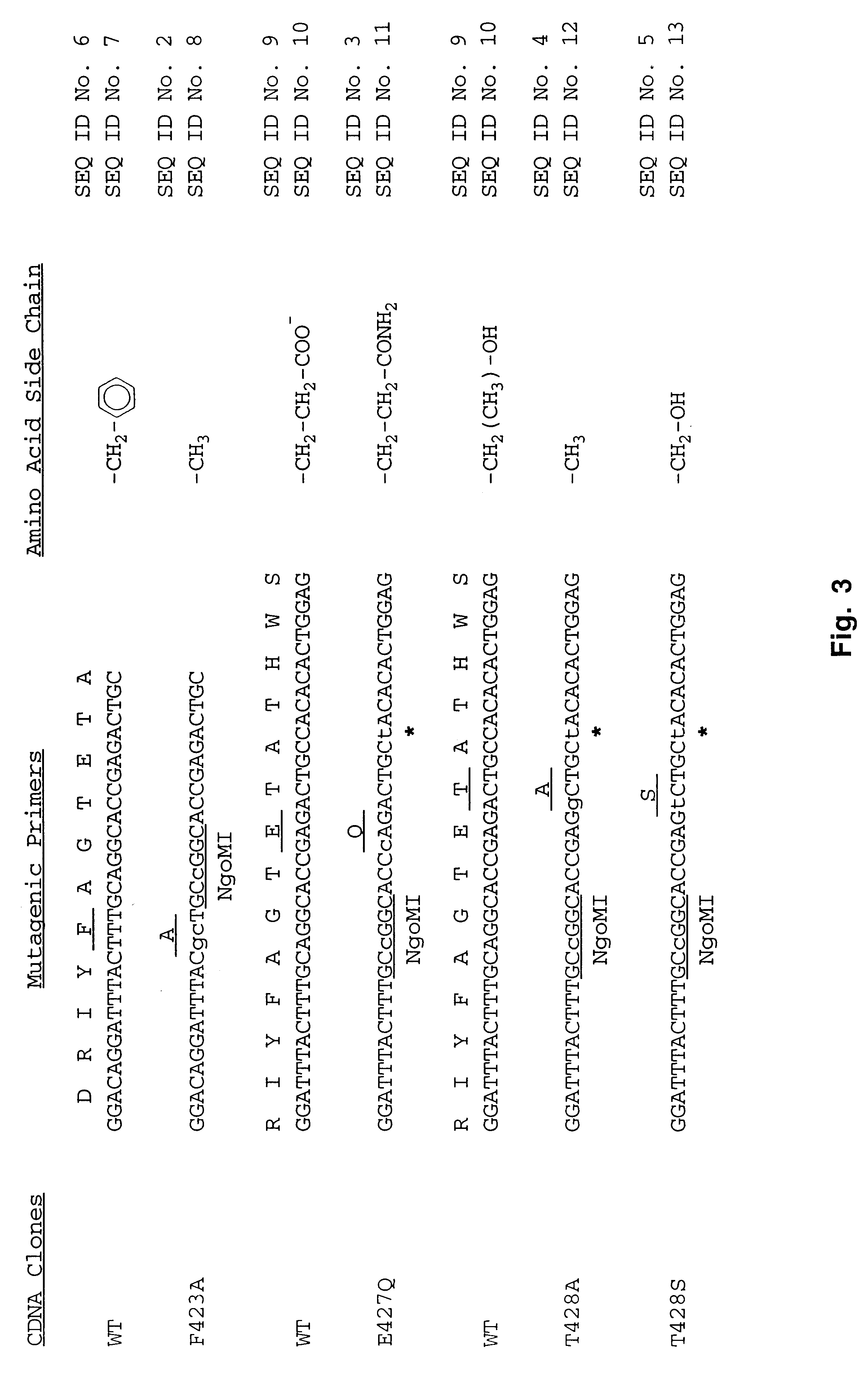 Mutants of monoamine oxidase B