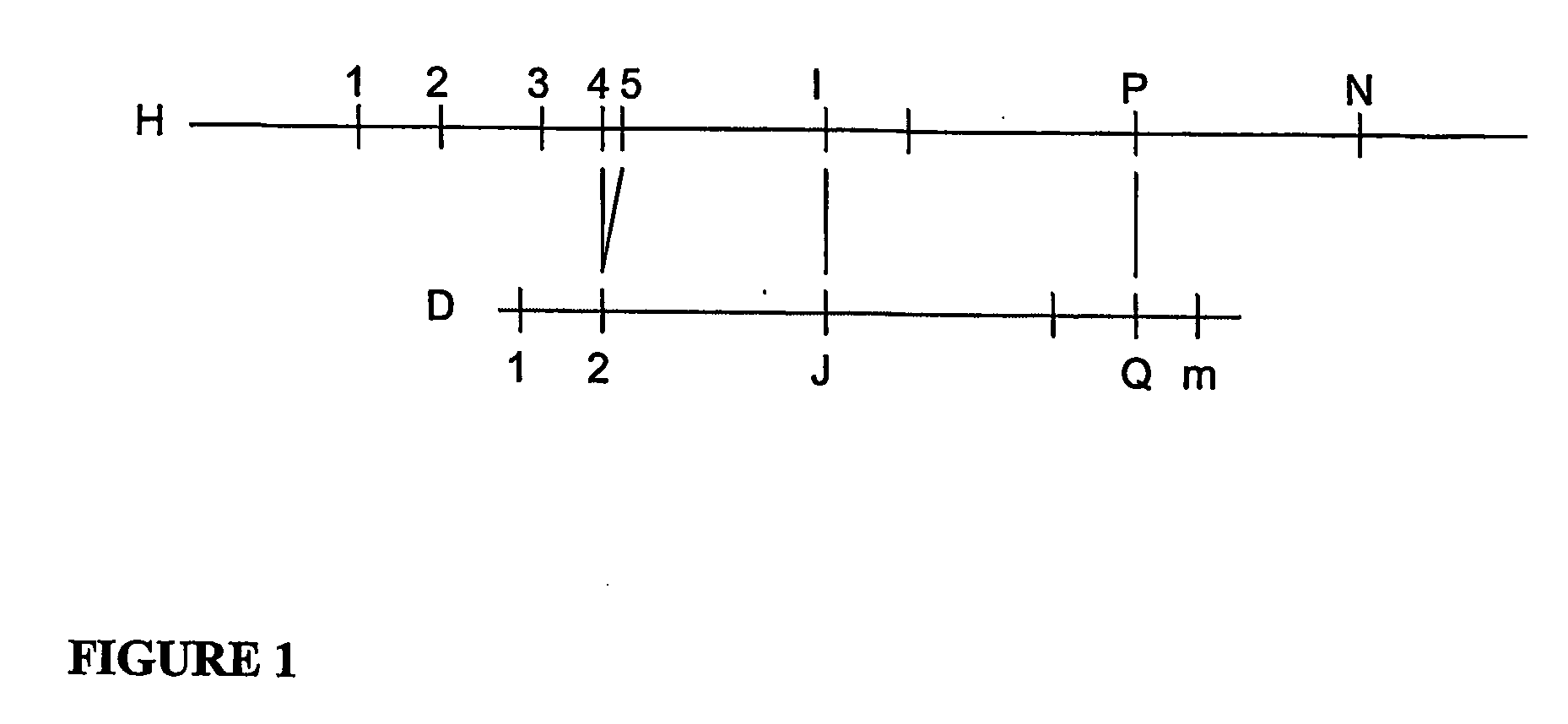 System, Process And Software Arrangement For Disease Detection Using Genome Wide Haplotype Maps