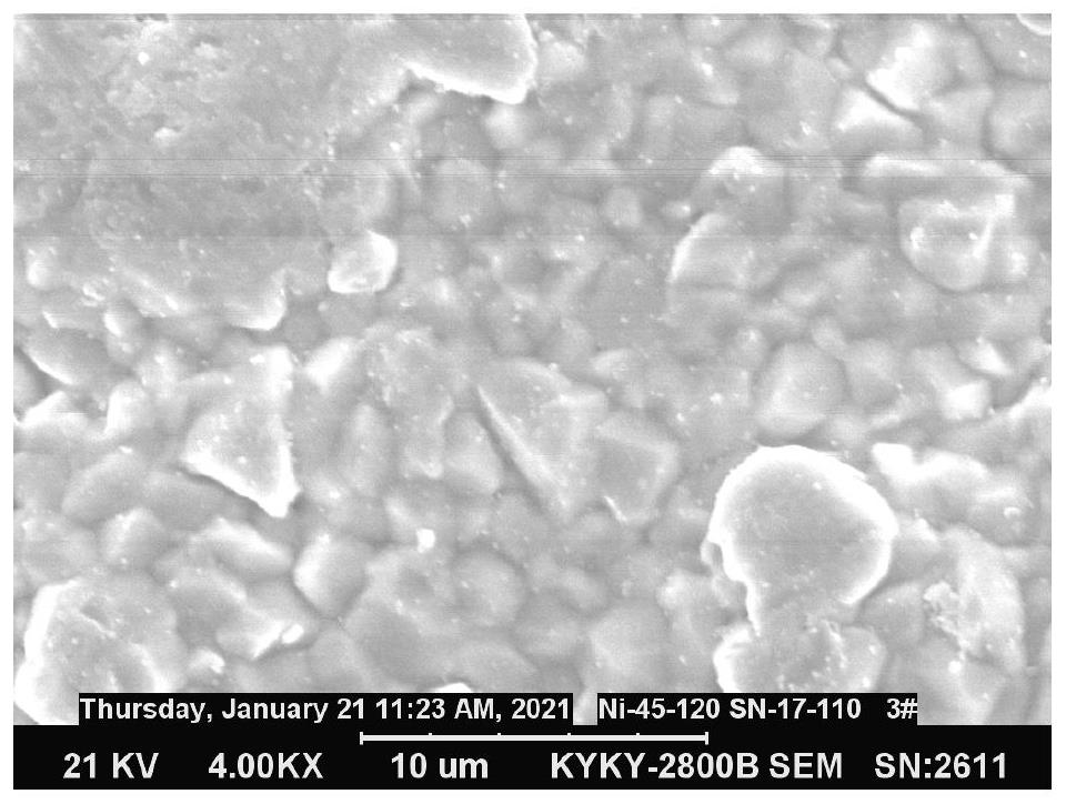 Chip electronic component tin plating solution and tin electroplating method