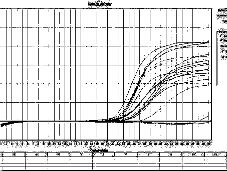 Human papilloma virus (24 types) detection (fluorescent PCR method) kit and detection method