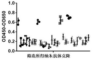 Nanobody and its encoding gene, expression vector, host cell and application