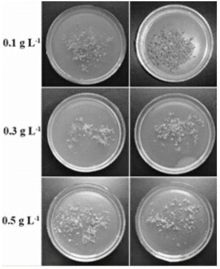 Method for improving storage effect of arabidopsis thaliana seedlings