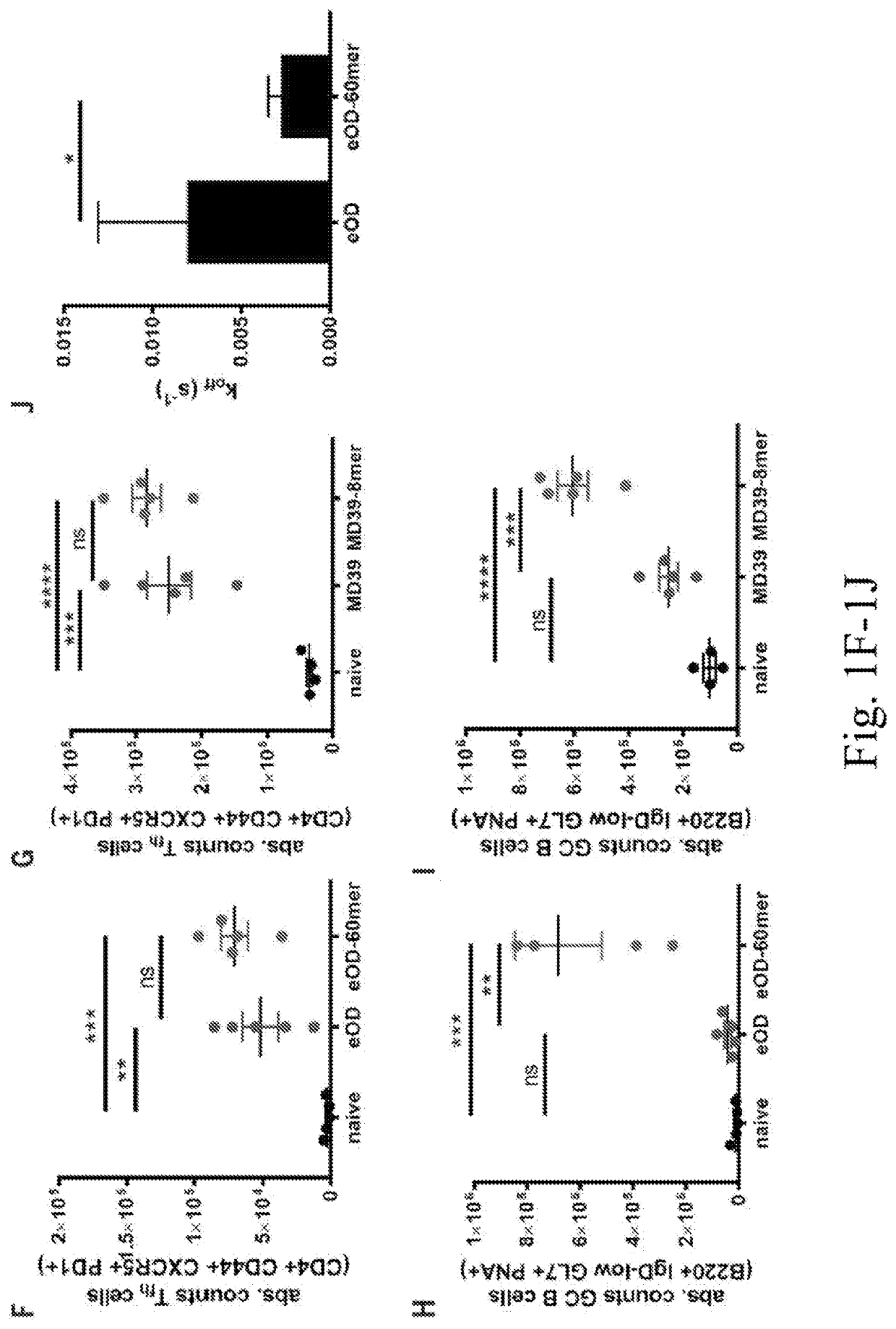 Ferritin nanoparticle displaying an HIV trimer