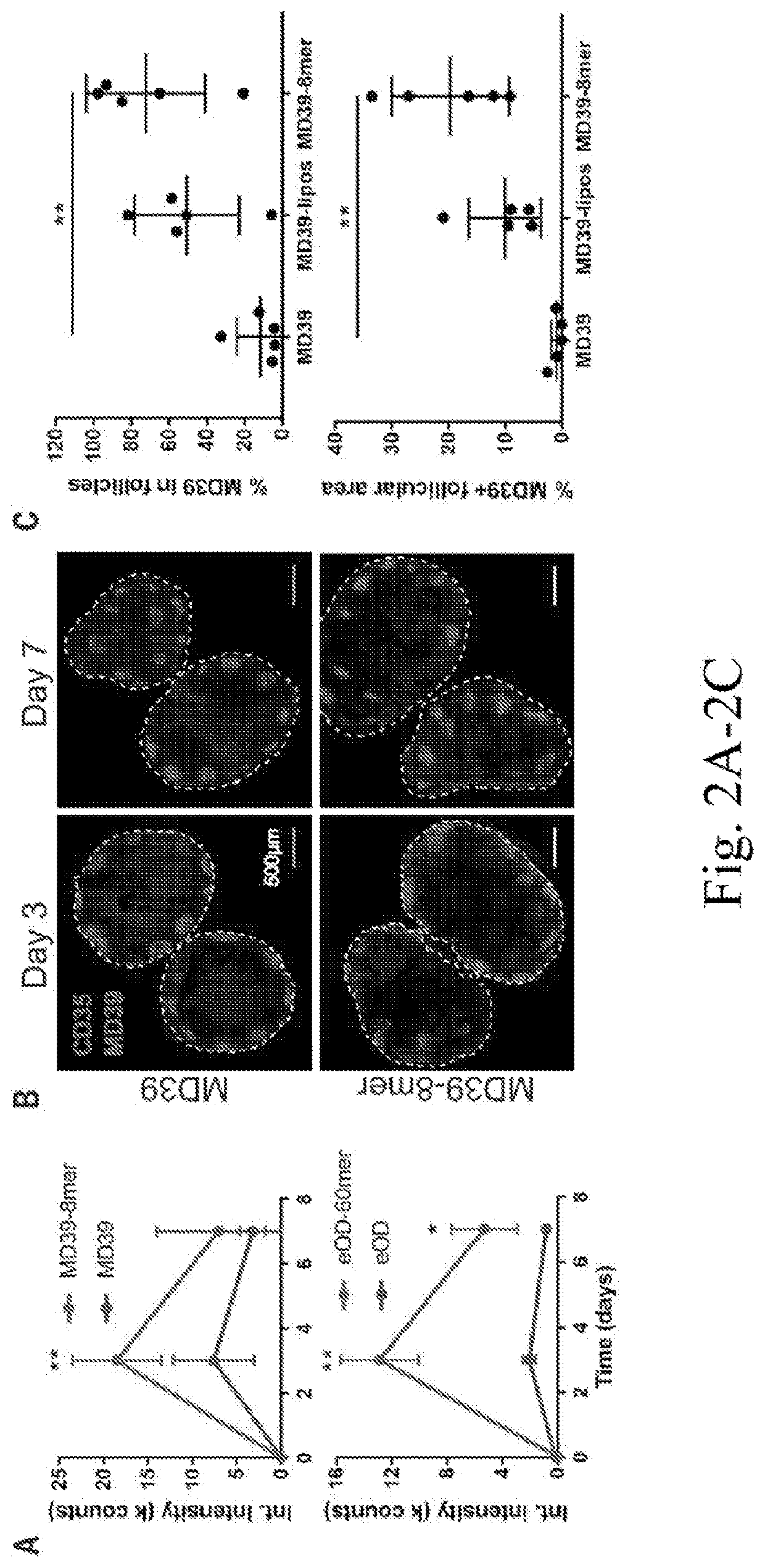 Ferritin nanoparticle displaying an HIV trimer