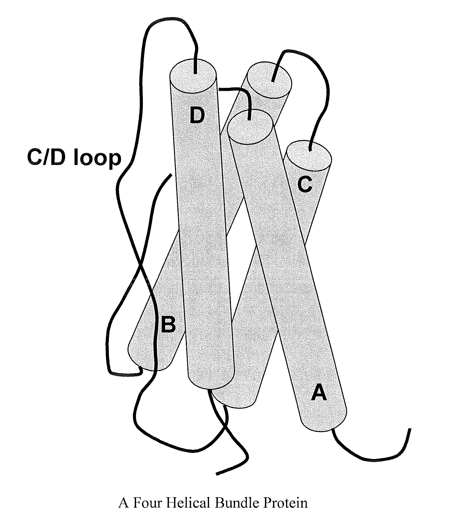 Modified Leptin Polypeptides and Their Uses