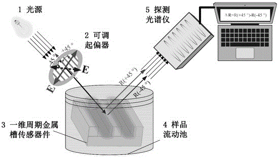 Circular dichroism measurement system based on incidence of linearly polarized light to one-dimensional periodic metallic channel