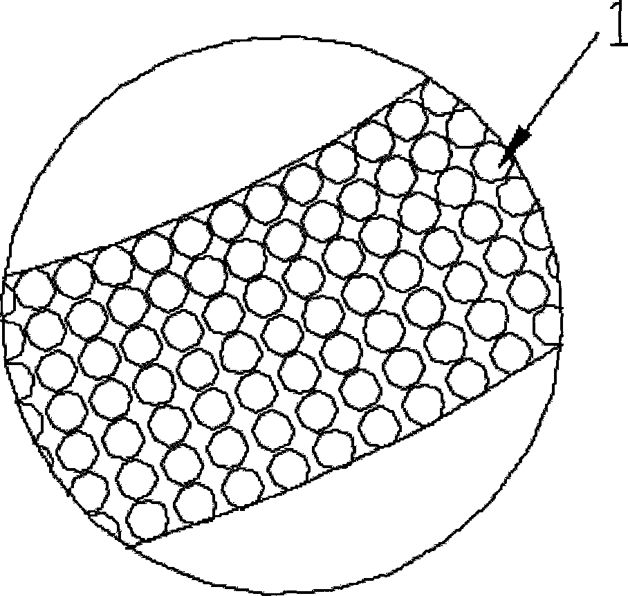 Homogenic inorganic membrane tube and preparation method thereof