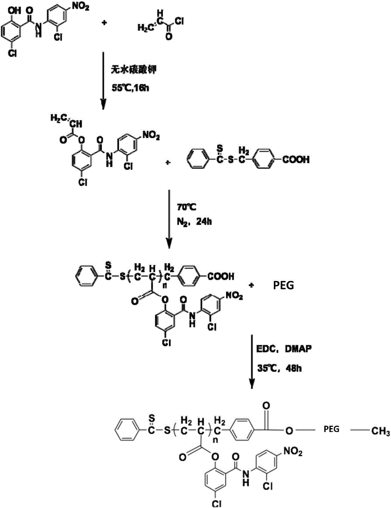 Water-soluble pegylated niclosamide, preparation method thereof and application in anti-tumor therapy