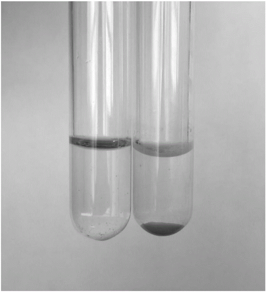 Water-soluble pegylated niclosamide, preparation method thereof and application in anti-tumor therapy