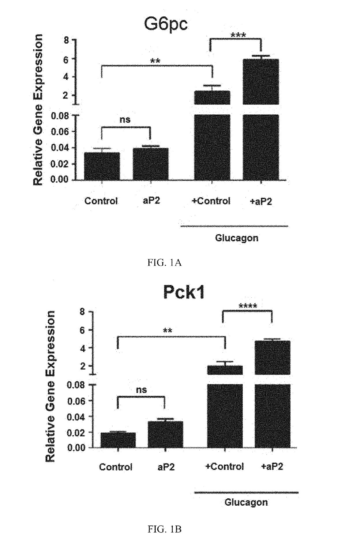 Compounds useful to treat metabolic disorders