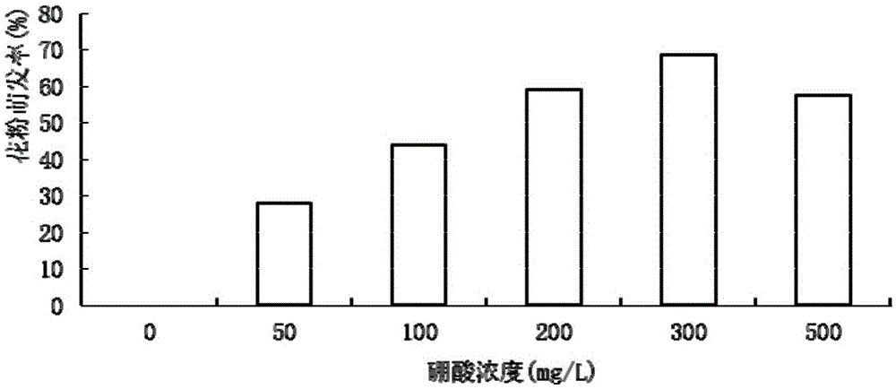 Preservation and in-vitro culture vitality detection method for pollen of Actinidia arguta